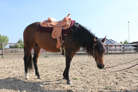 DunIt Sommer 2010